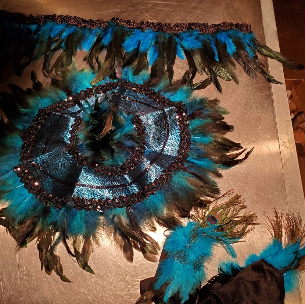 Peacock Halloween costume kit